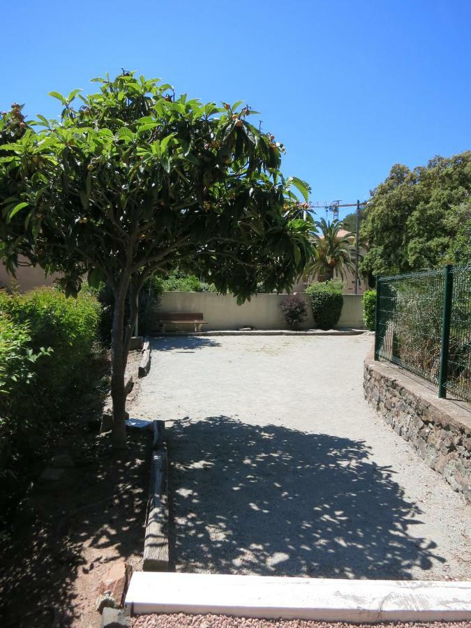 Joli Studio A Front De Mer Saint-Raphaël Εξωτερικό φωτογραφία